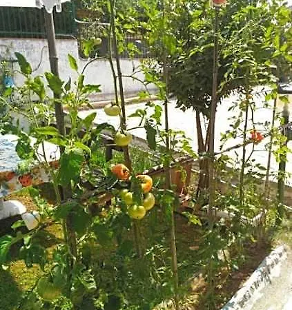 Casa Dirindo Διαμέρισμα